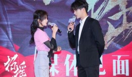 媒体爆料许凯视频播放网站,神秘播放网站成热议焦点